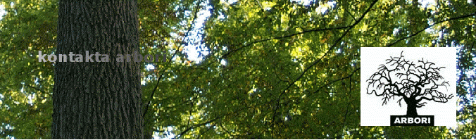 kontakta arbori